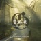 Bedlam - The Heathen Kings lyrics