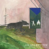 Cicada Rhythm - Don't Think Twice, It's All Right