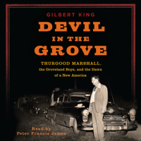 Gilbert King - Devil in the Grove artwork