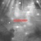 Novembergrey (feat. Ralf Hildenbeutal) - Chris Liebing lyrics
