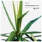 Give Me Your Love - Mike Mago lyrics