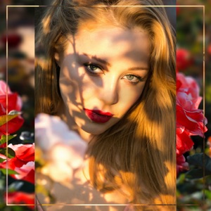 Сила высоты - Single