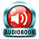 The Art of Stopping Time Audiobook by Pedram Shojai OMD