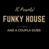 Funky House and a Coupla Dubs cover art