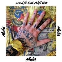 Mula (feat. Oak Cliff EZ) - Single - ericd