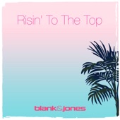 Risin' to the Top (Instrumental Mix) artwork