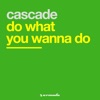 Do what you wanna do