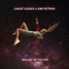 Feeling of Falling - Single