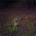 Edge