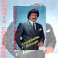 Sen Olamazsin