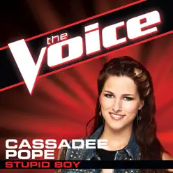 Stupid Boy (The Voice Performance) - Single - Cassadee Pope