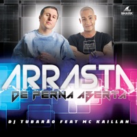 Arrasta de Perna Aberta (feat. Mc Kaillan) - Single - DJ Tubarão