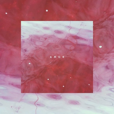 Amor - Single
