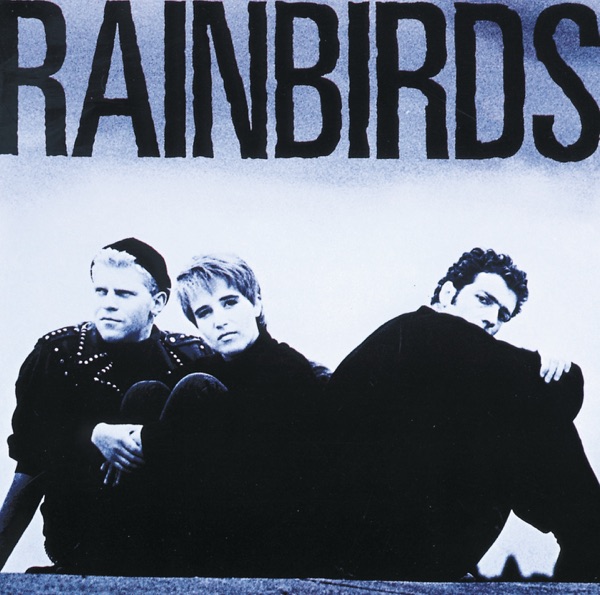 RAINBIRDS BLUEPRINT