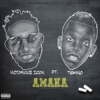 Amaka (feat. Tekno) - Single