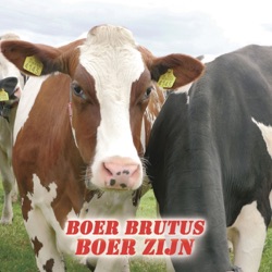Boer Brutus - Boer Zijn
