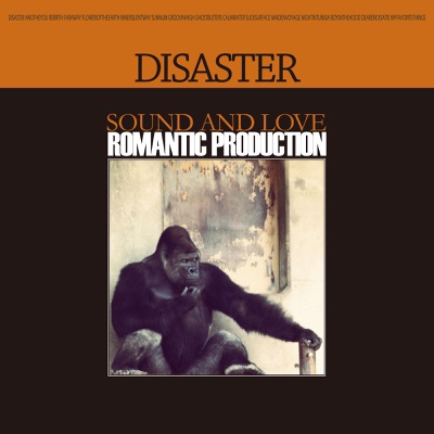 Disaster