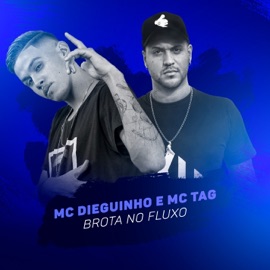 Brota no Fluxo MC Dieguinho & MC Tag