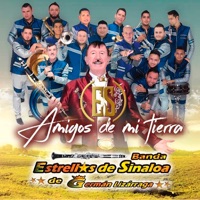 Amigos de Mi Tierra - Banda Estrellas De Sinaloa De German Lizarraga