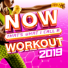 NOW That's What I Call A Workout 2019 - Various Artists