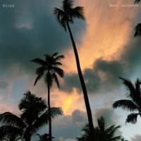 Bliss - Single - Matt Lefebvre