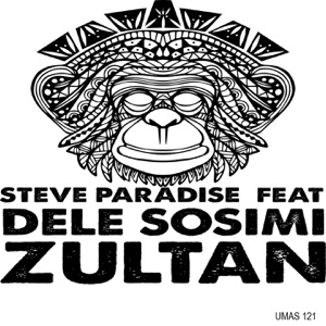 Zultan (feat. Dele Sosimi) - Single