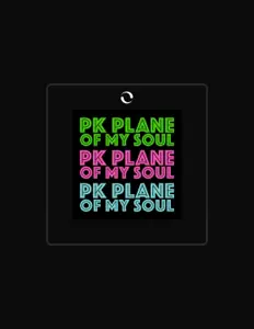 Ascolta Pk Plane, guarda video musicali, leggi la biografia, vedi le date del tour & altro!