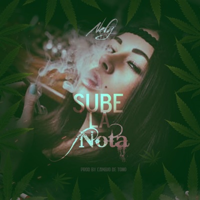 Sube la Nota - Single