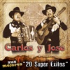 Sus Mejores "20 Super Éxitos"
