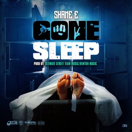 Gone Sleep Shane E
