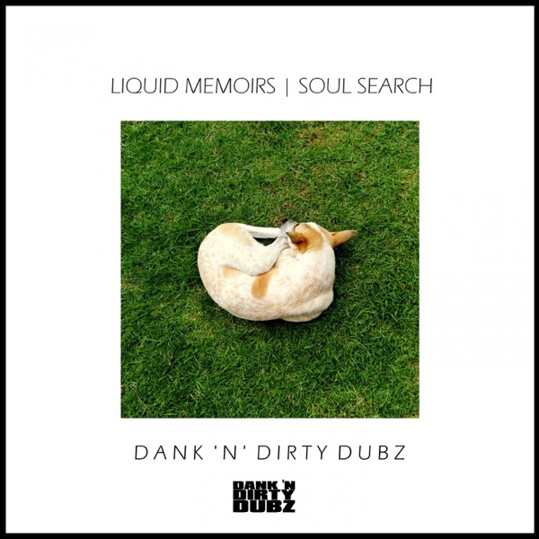 Soul Search - Single