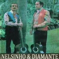 Ditado Certo — Nelsinho & Diamante