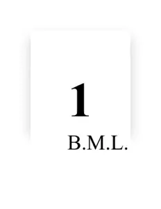聆聽 BML、觀看音樂影片、閱讀小傳、查看巡演日期等！