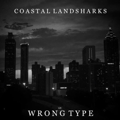 Wrong Type - Single