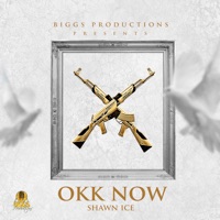 Okk Now - Single - Shawn Ice