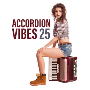 Accordion Vibes: 25 Moody Night Jazz