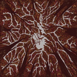 CROWN SHYNESS cover art