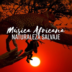 Música Africana: Naturaleza Salvaje - Sonidos Étnico para la Relajación