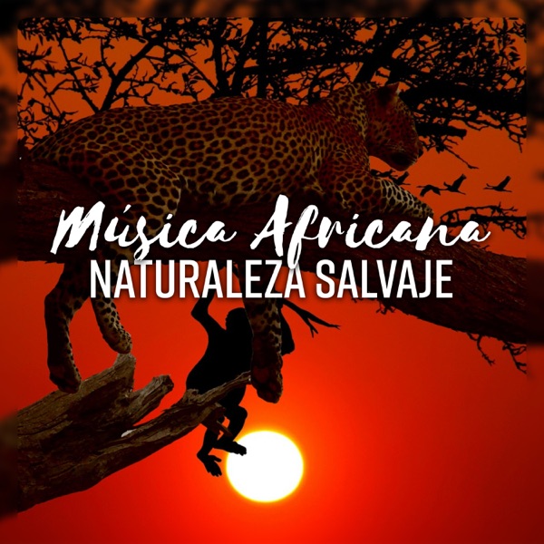 Música Africana: Naturaleza Salvaje - Sonidos Étnico para la Relajación