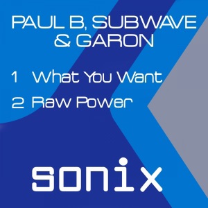 What You Want / Raw Power - Single