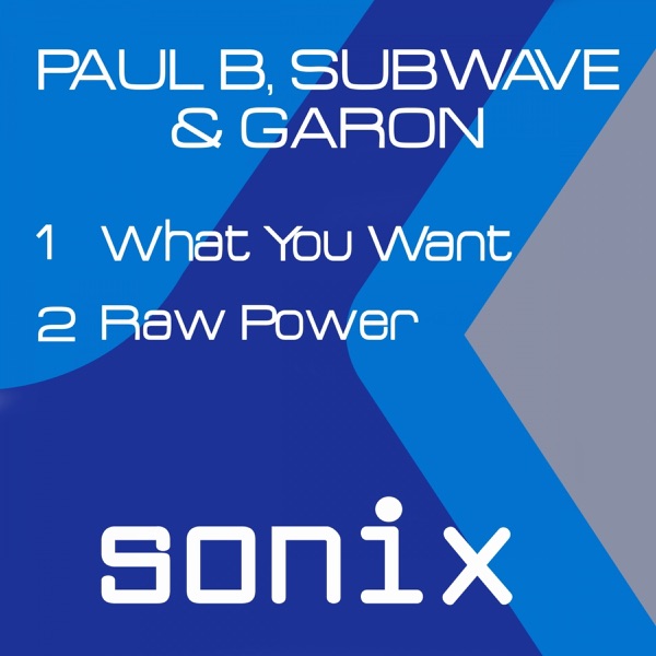 What You Want / Raw Power - Single