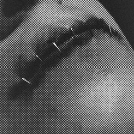 Ripping at the Seams (feat. Luna) Joei Razook