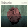 Wish I Knew You - The Revivalists