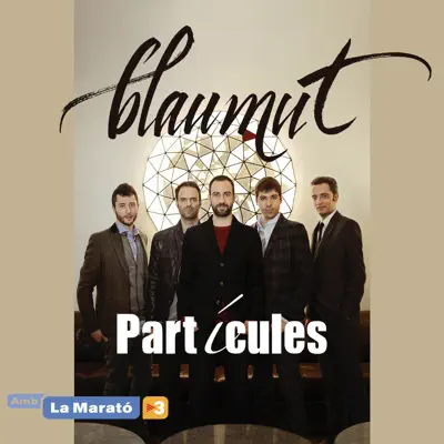 Partícules - Single - Blaumut