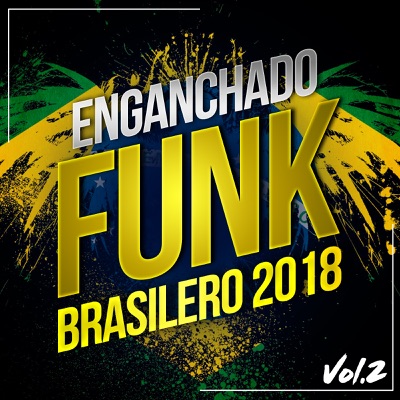 Baile Brasilero (Funk Mix) - Funk Music Hits & Dj Brasilean | Shazam