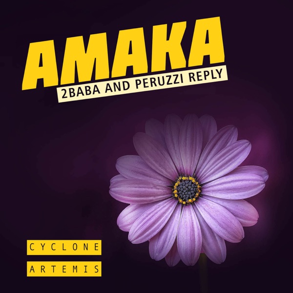 Amaka (2baba and Peruzzi Reply) - Single