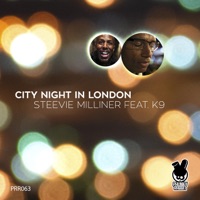 City Night in London (feat. K9) - Steevie Milliner