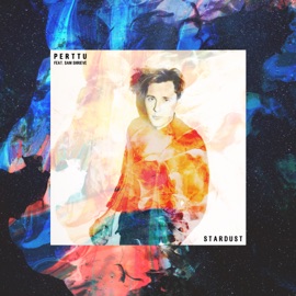 Stardust (feat. Sam Shrieve) Perttu