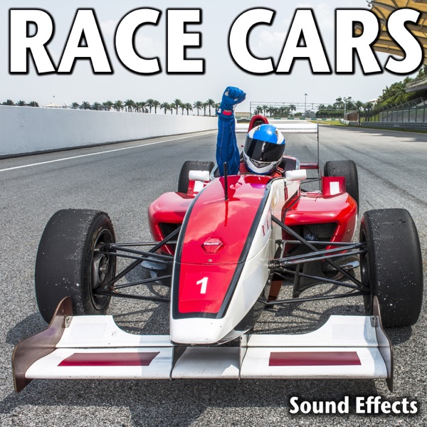 Modified Street Race Car on Board: Race Around Track at Very High Speed