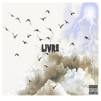 Livre - Single - 2T